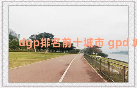 dgp排名前十城市 gpd 城市排名